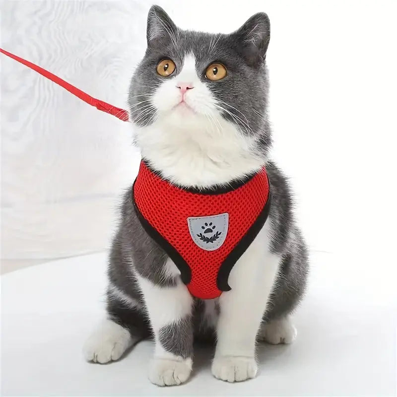 Adjustable Soft Mesh Dog & Cat Harness with Leash