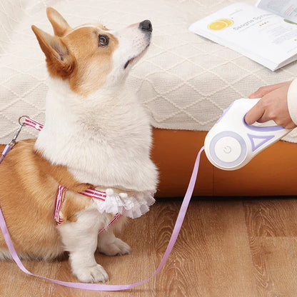 LED Luminous Automatic Retractable Dog Leash