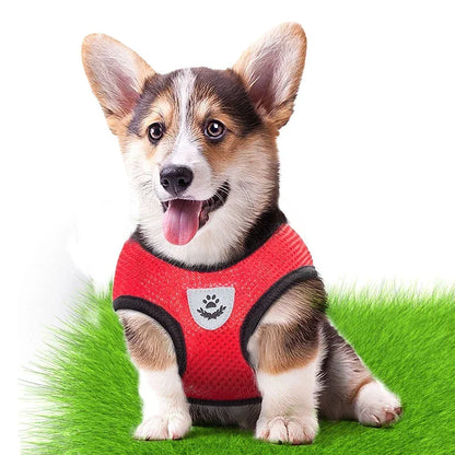 Adjustable Soft Mesh Dog & Cat Harness with Leash