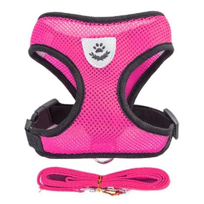 Adjustable Soft Mesh Dog & Cat Harness with Leash
