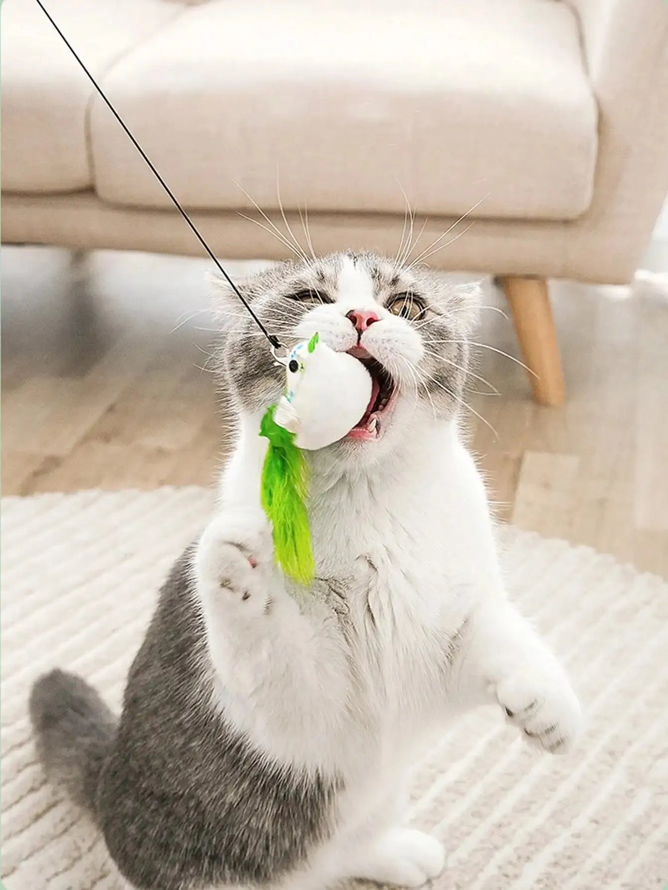 Interactive Bird Feather Cat Toy with Suction Cup