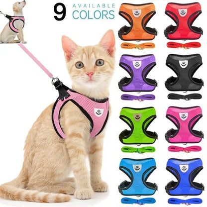 Adjustable Soft Mesh Dog & Cat Harness with Leash