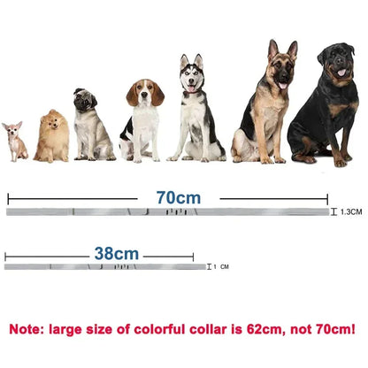 Waterproof Adjustable Rubber Pet Collar