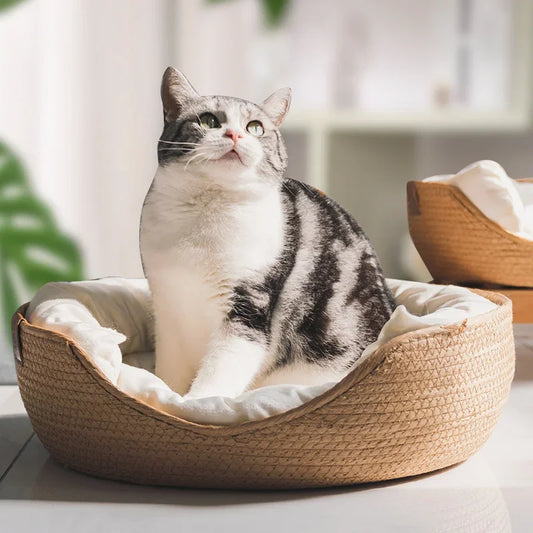 Four Season Cozy Nest Pet Bed with Removable Cushion